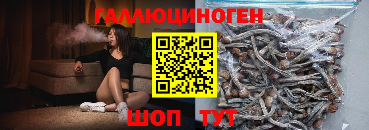 Кизляр  Галлюциногенные грибы Cubensis  Вход с VPN  Галлюциногенные грибы Cubensis 